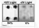 Fig. 06 - Methods and Compositions for Phototransfer