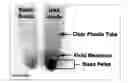 Fig. 28 - Methods and Compositions for Phototransfer
