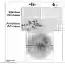 Fig. 32 - Methods and Compositions for Phototransfer