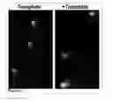 Fig. 52 - Methods and Compositions for Phototransfer