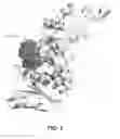 Fig. 02 - VARIANT ALPHA AMYLASES WITH ENHANCED ACTIVITY ON STARCH POLYMERS