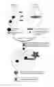 Fig. 01 - STABLE PEPTIDE-BASED FURIN INHIBITORS