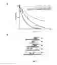 Fig. 03 - STABLE PEPTIDE-BASED FURIN INHIBITORS