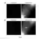 Fig. 04 - STABLE PEPTIDE-BASED FURIN INHIBITORS
