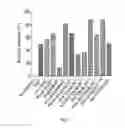 Fig. 06 - STABLE PEPTIDE-BASED FURIN INHIBITORS