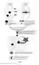 Fig. 07 - STABLE PEPTIDE-BASED FURIN INHIBITORS
