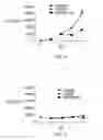 Fig. 05 - STIMULATION OF HUMAN MEIBOMIAN GLAND FUNCTION