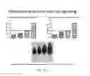 Fig. 18 - STIMULATION OF HUMAN MEIBOMIAN GLAND FUNCTION
