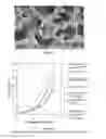 Fig. 03 - Keratin bioceramic compositions
