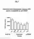 Fig. 04 - METHOD OF TREATING AND PREVENTING OCULAR ANGIOGENESIS