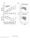 Fig. 10 - Methods and compositions for the treatment of β-thalassemia