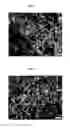 Fig. 07 - COMPOSITION FOR REPAIRING CARTILAGE TISSUE, METHOD FOR PRODUCING SAME, AND USE THEREOF