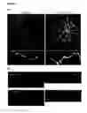 Fig. 10 - Compounds and methods for inhibiting cell death