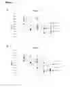 Fig. 19 - Compounds and methods for inhibiting cell death