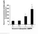 Fig. 04 - Bone loss preventing and bone regeneration or bone formation promoting pharmaceutical composition comprising muramyl dipeptide