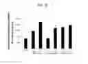 Fig. 05 - Bone loss preventing and bone regeneration or bone formation promoting pharmaceutical composition comprising muramyl dipeptide