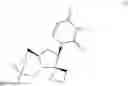 Fig. 03 - Uracyl spirooxetane nucleosides