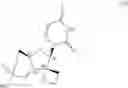 Fig. 07 - Uracyl spirooxetane nucleosides