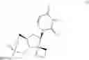 Fig. 12 - Uracyl spirooxetane nucleosides