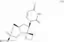 Fig. 13 - Uracyl spirooxetane nucleosides