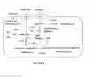 Fig. 02 - Metabolically engineered microorganisms