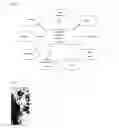 Fig. 03 - METHOD OF USING NUTRITIONAL COMPOUNDS DIHYDROQUERCETIN (TAXIFOLIN) AND ARABINOGALACTAN IN COMBINATION WITH DIHYDROQUERCETIN (TAXIFOLIN) TO REDUCE AND CONTROL CARDIOMETABOLIC RISK FACTORS ASSOCIATED WITH METABOLIC SYNDROME AND HYPERCHOLESTEROLEMIA