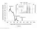 Fig. 22 - Methods of Treating Viral Associated Diseases