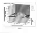 Fig. 29 - Methods of Treating Viral Associated Diseases