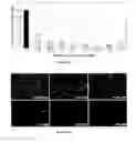 Fig. 34 - Methods of Treating Viral Associated Diseases