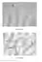 Fig. 40 - Methods of Treating Viral Associated Diseases