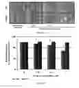 Fig. 44 - Methods of Treating Viral Associated Diseases
