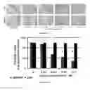Fig. 45 - Methods of Treating Viral Associated Diseases