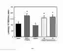 Fig. 07 - INHIBITORS OF ERK FOR DEVELOPMENTAL DISORDERS OF NEURONAL CONNECTIVITY