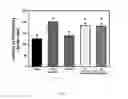 Fig. 08 - INHIBITORS OF ERK FOR DEVELOPMENTAL DISORDERS OF NEURONAL CONNECTIVITY