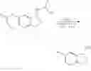 Fig. 17 - COMPOSITIONS AND METHODS FOR THE TREATMENT OF NEUROLOGICAL DEGENERATIVE DISORDERS