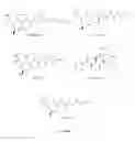 Fig. 02 - Substituted macrocyclic compounds having proteasome inhibitory activity