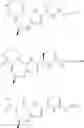 Fig. 23 - Substituted macrocyclic compounds having proteasome inhibitory activity