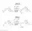 Fig. 08 - Substituted anilines as CCR(4) antagonists
