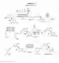 Fig. 09 - Substituted anilines as CCR(4) antagonists