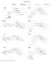 Fig. 32 - Substituted anilines as CCR(4) antagonists