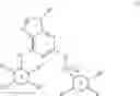 Fig. 02 - Purine derivatives