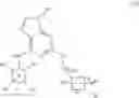 Fig. 09 - Purine derivatives