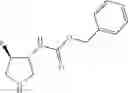 Fig. 112 - Purine derivatives