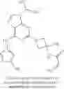 Fig. 166 - Purine derivatives