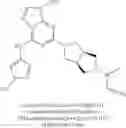 Fig. 187 - Purine derivatives