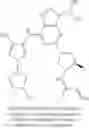 Fig. 218 - Purine derivatives
