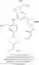 Fig. 243 - Purine derivatives