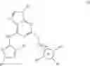 Fig. 246 - Purine derivatives