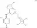 Fig. 33 - Purine derivatives