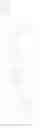 Fig. 46 - Purine derivatives